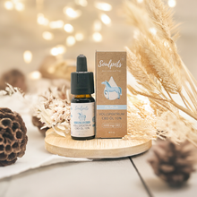 Lade das Bild in den Galerie-Viewer, 10% CBD Öl für Pferde