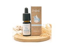 Lade das Bild in den Galerie-Viewer, 10% CBD Öl für Pferde